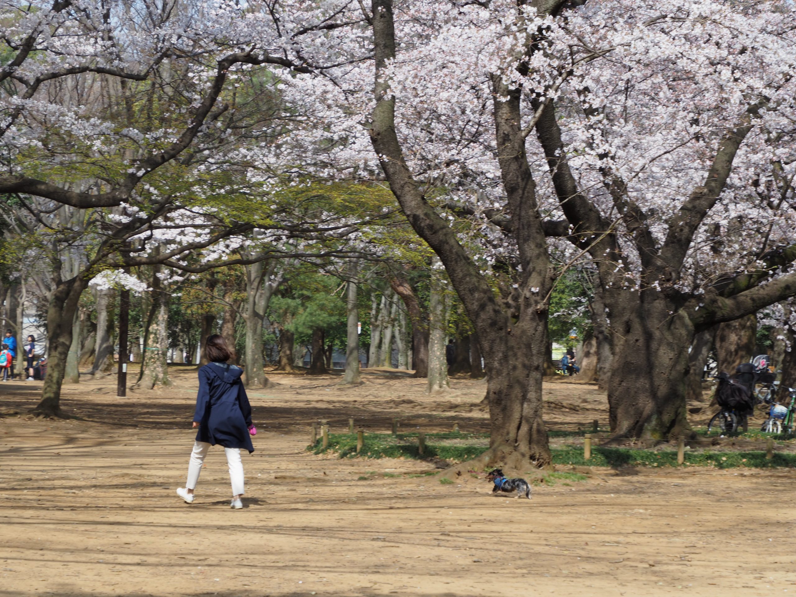 仕事するために人間やってるわけじゃないからね